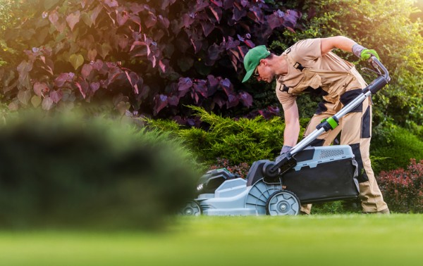 Landscaping and Lawn Care Service: Landscaping professionals providing lawn care and garden maintenance.