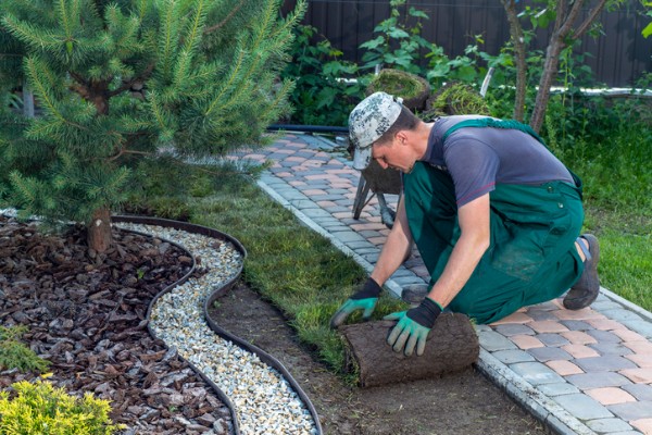Landscaping and Outdoor Service: Team working on landscaping and outdoor services in a residential yard.